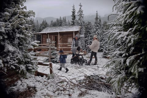 HEADER SNOW