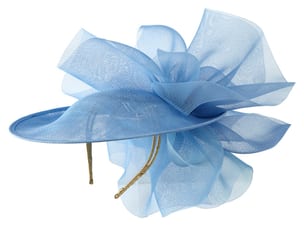 Blue Hat Side