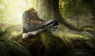 Forest Final