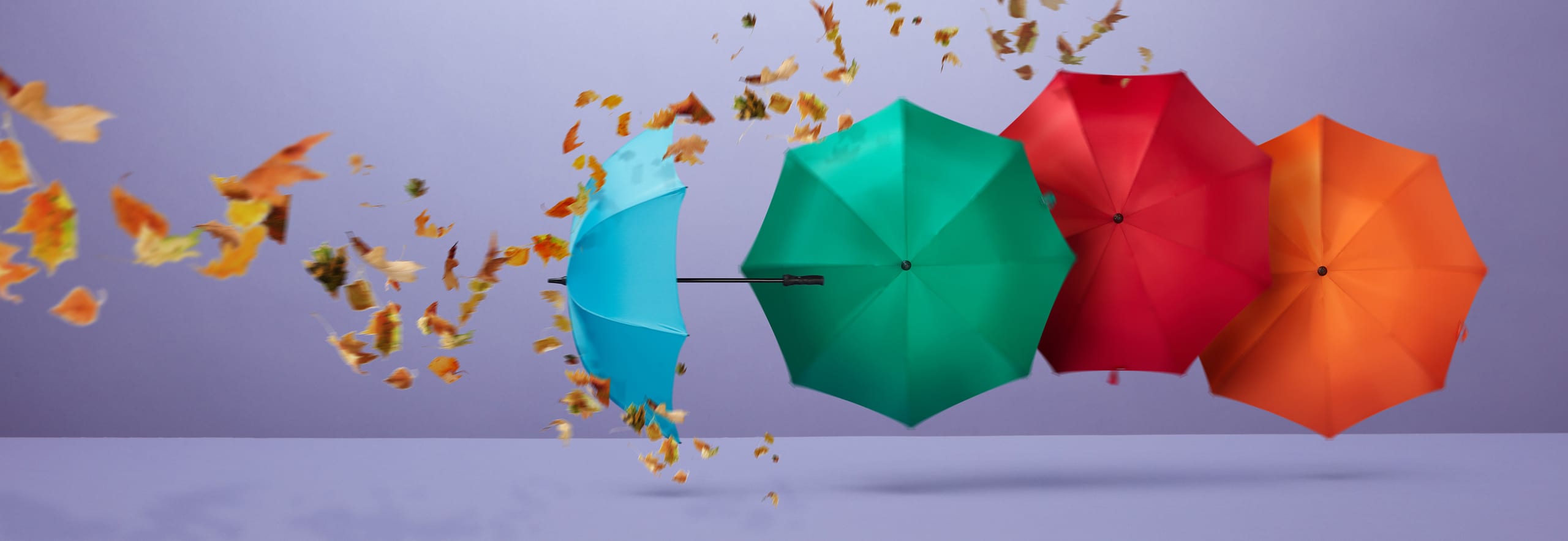 Umbrellas